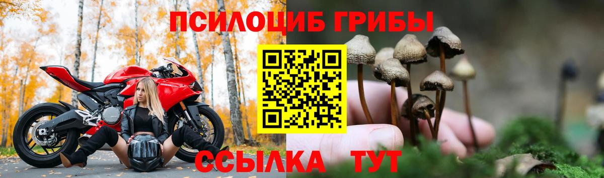 Псилоцибиновые грибы Psilocybe  Вход с VPN  Галлюциногенные грибы GOLDEN TEACHER  Обнинск 